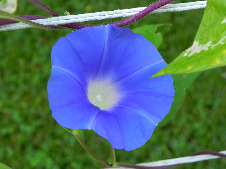 DSCN7123_02
