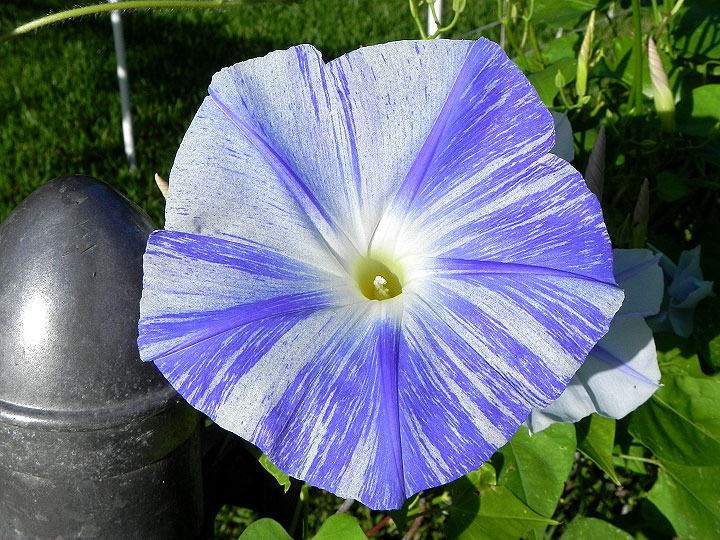 DSCN7163