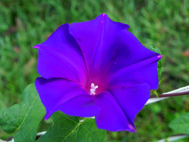 DSCN7188_01