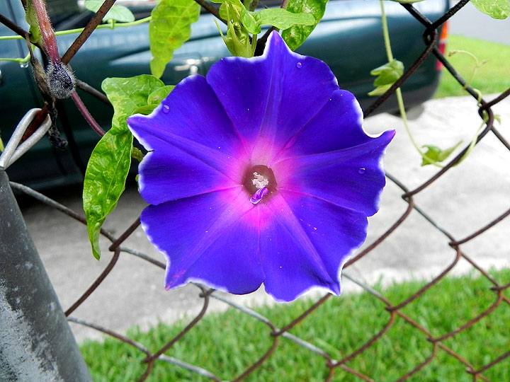 DSCN7495