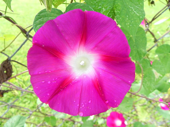 DSCN7570