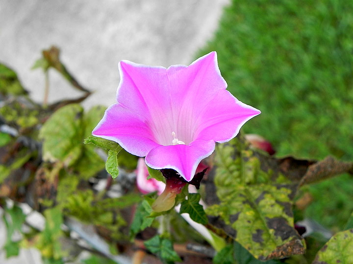 DSCN7857_01