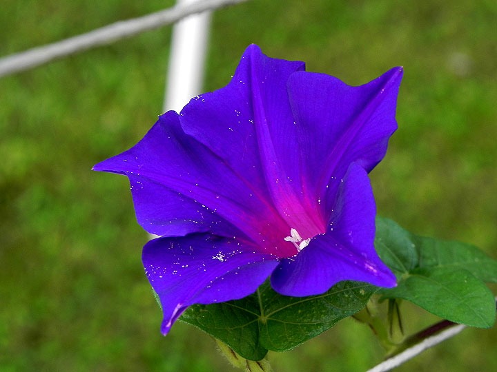 DSCN7967