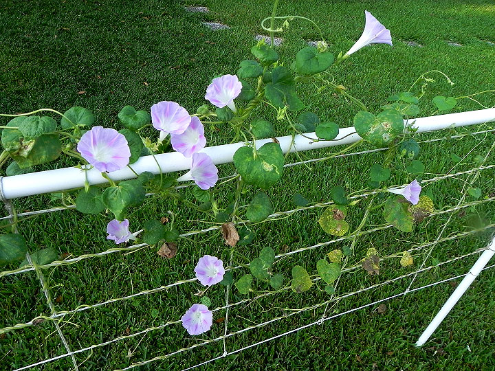 DSCN8216_01