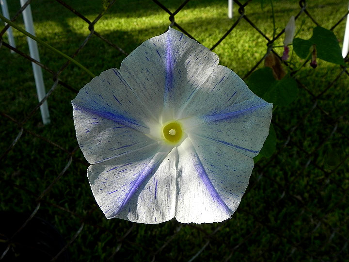 DSCN8247