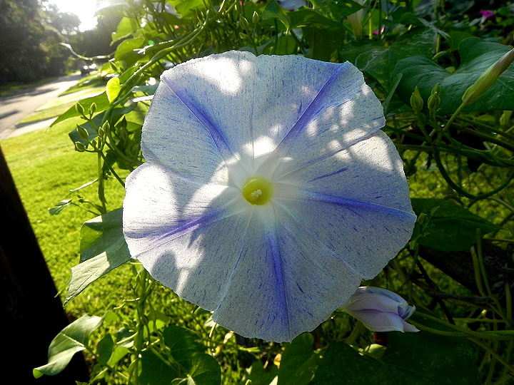 DSCN8345_01