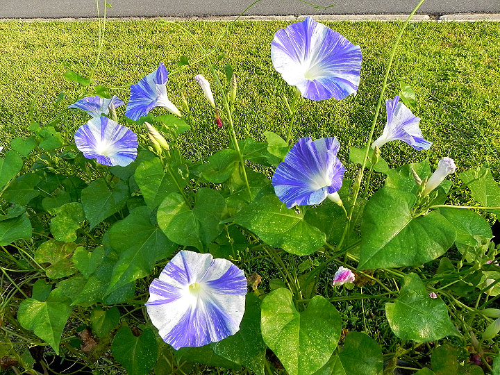 DSCN8377