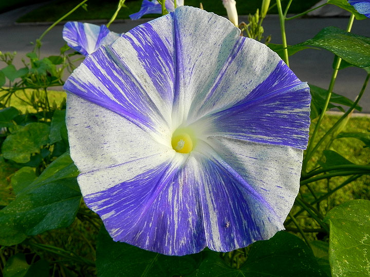 DSCN8378