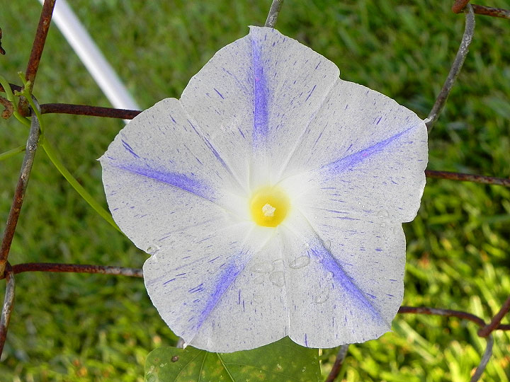 DSCN8414