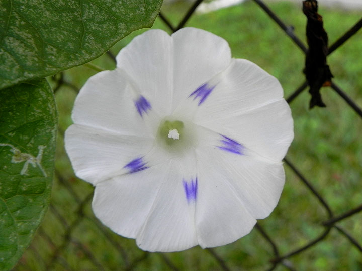 DSCN8423_01