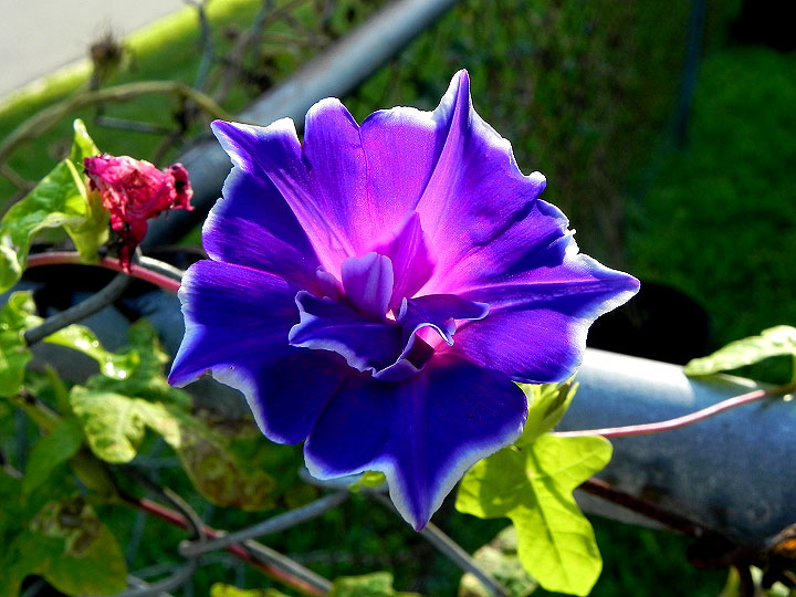 DSCN8447
