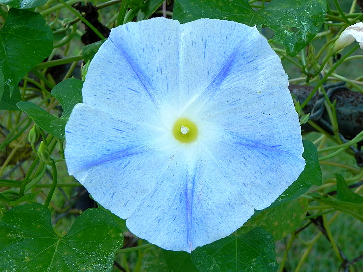 DSCN8453