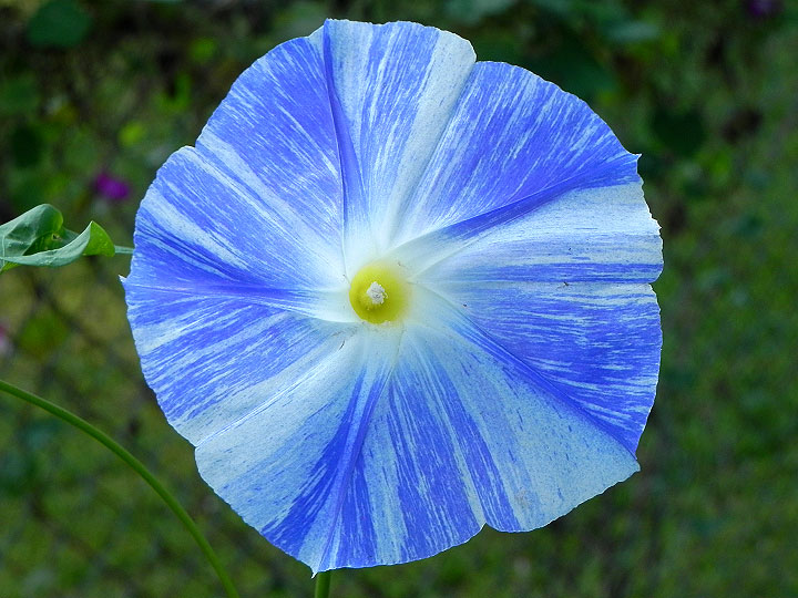 DSCN8620