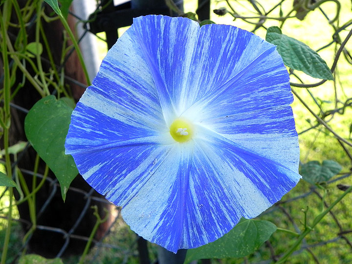 DSCN8689_01