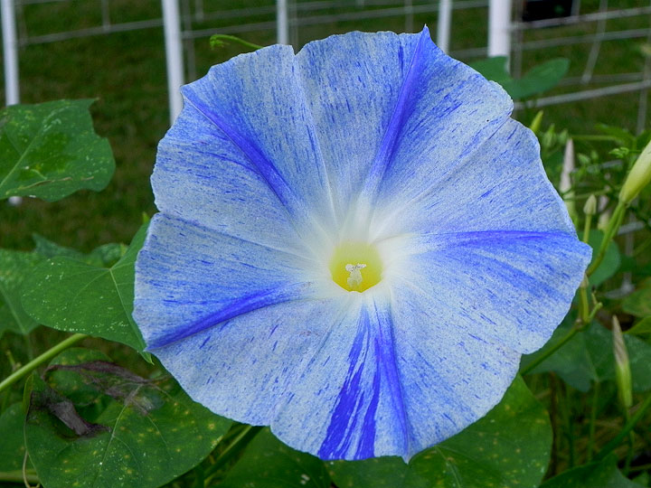 DSCN8757