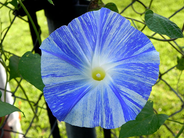 DSCN8768