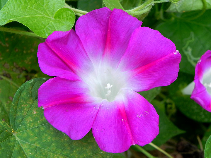 DSCN8780