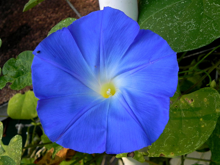 DSCN8897