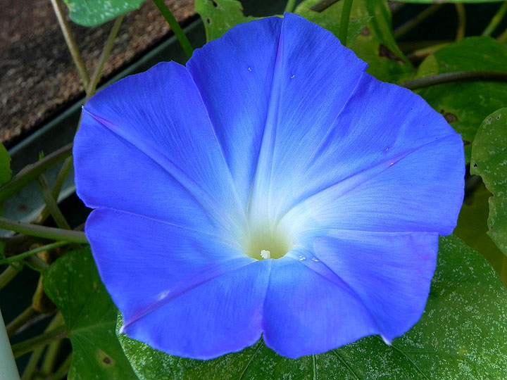 DSCN8989_01
