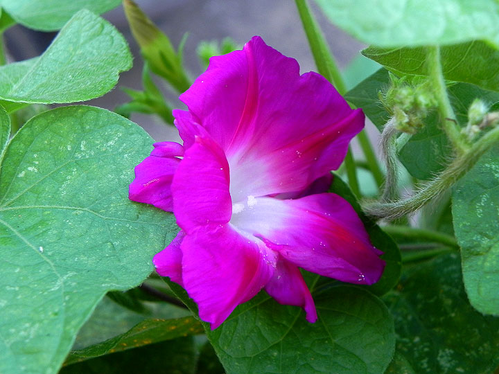 DSCN9505