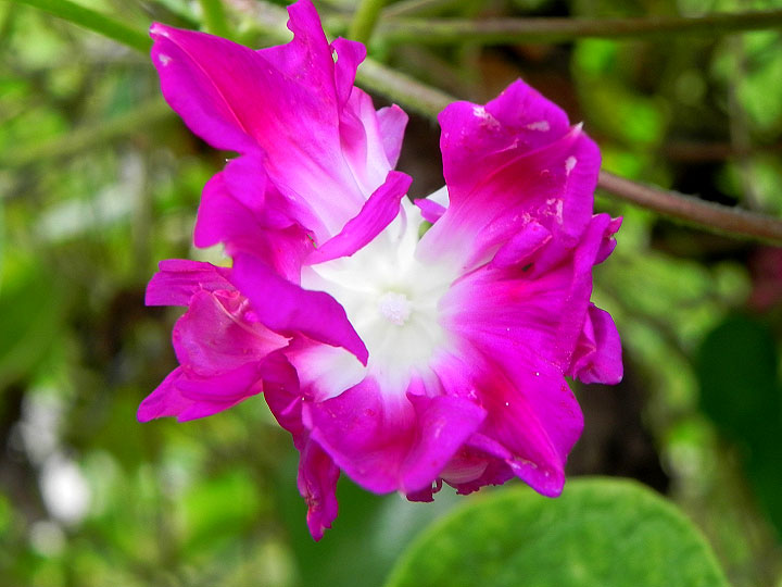 DSCN9549