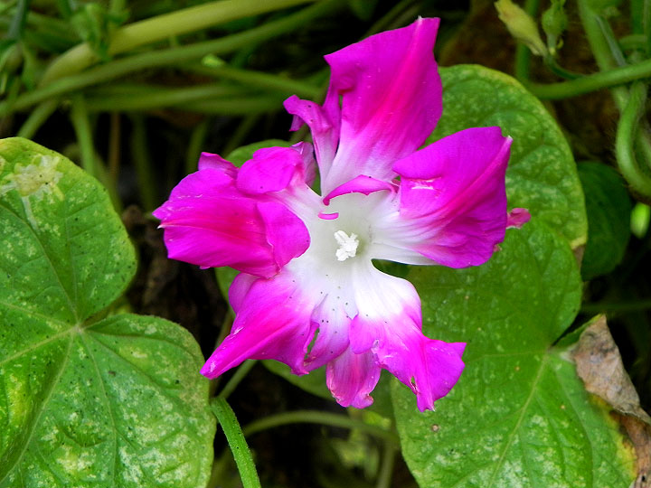 DSCN9551_01