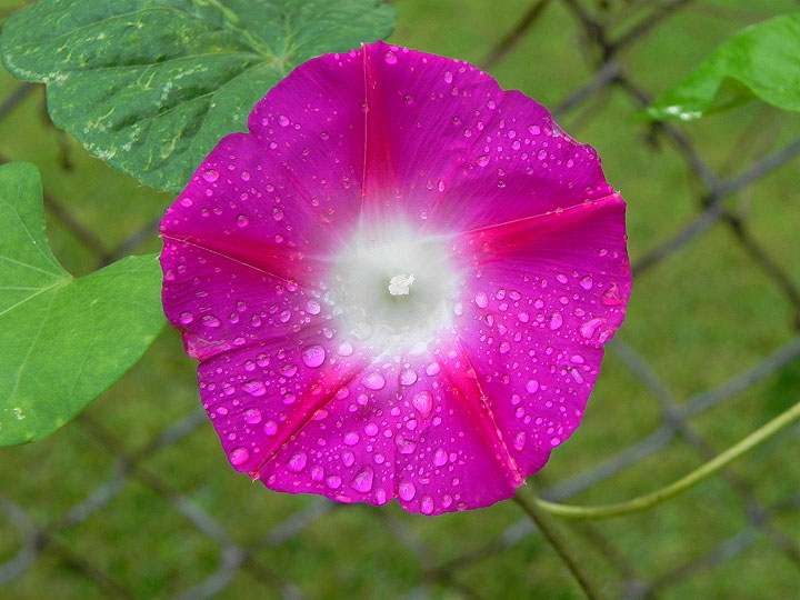 DSCN9567
