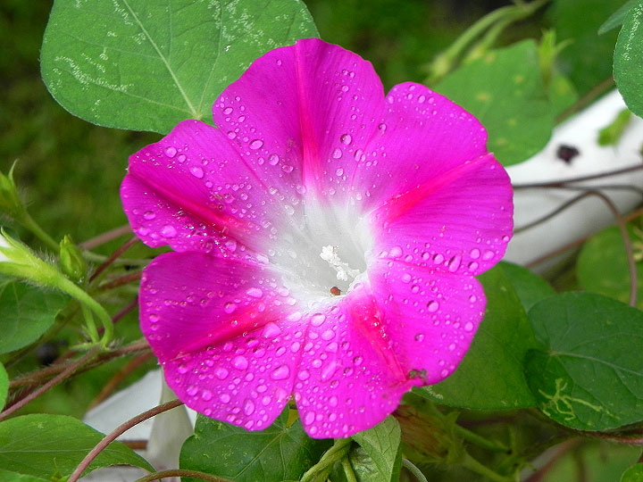 DSCN9580