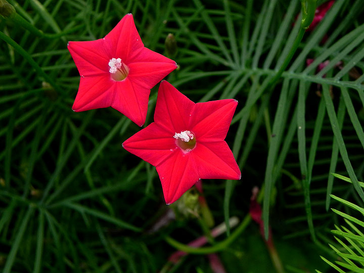 DSCN9606_01