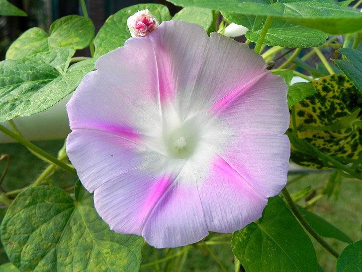 DSCN9622