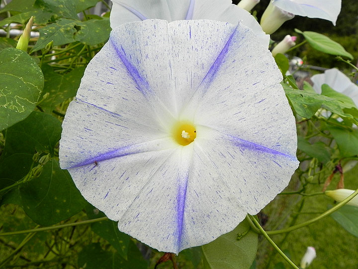 DSCN9749