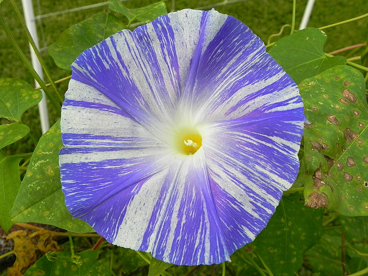 DSCN9751_01