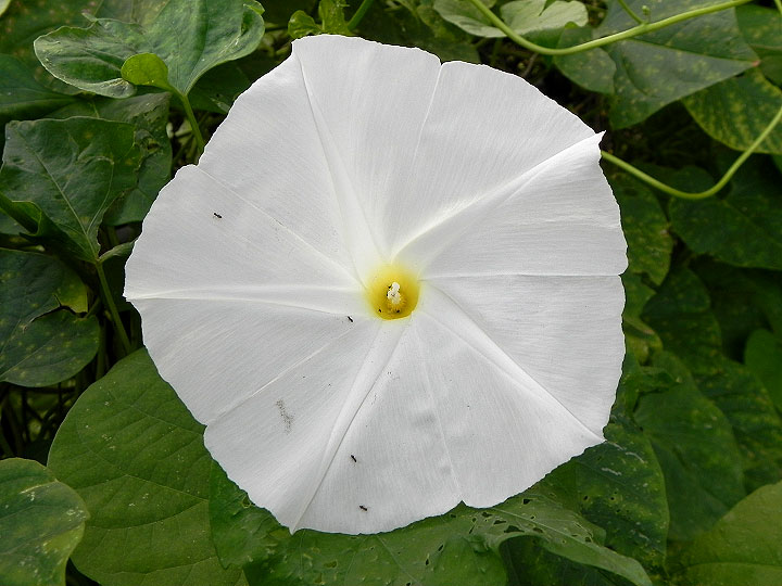 DSCN9759