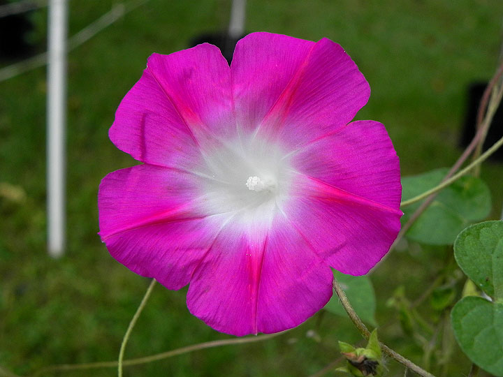 DSCN9854_01
