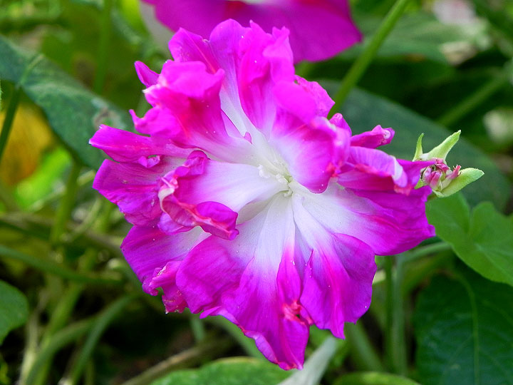 DSCN9854_01