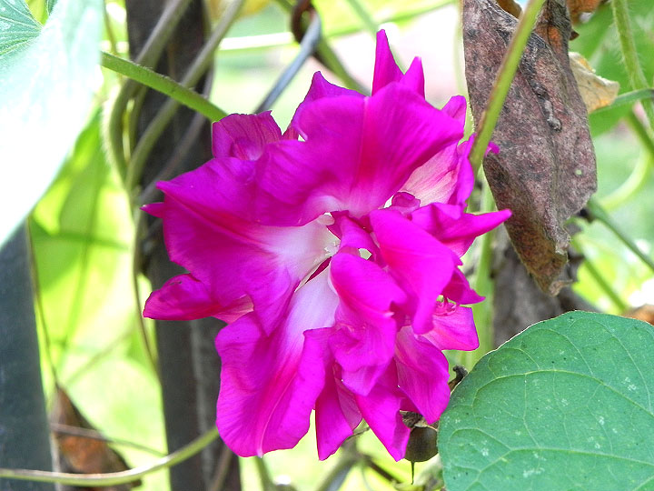 DSCN9855_01