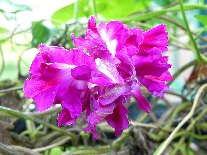 DSCN9969_02
