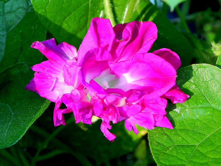 DSCN9971_01