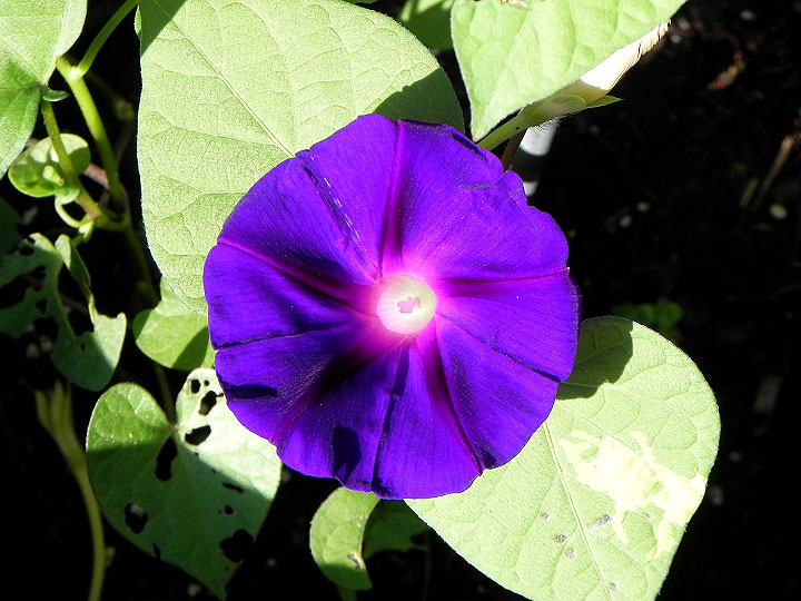 DSCN3943_01