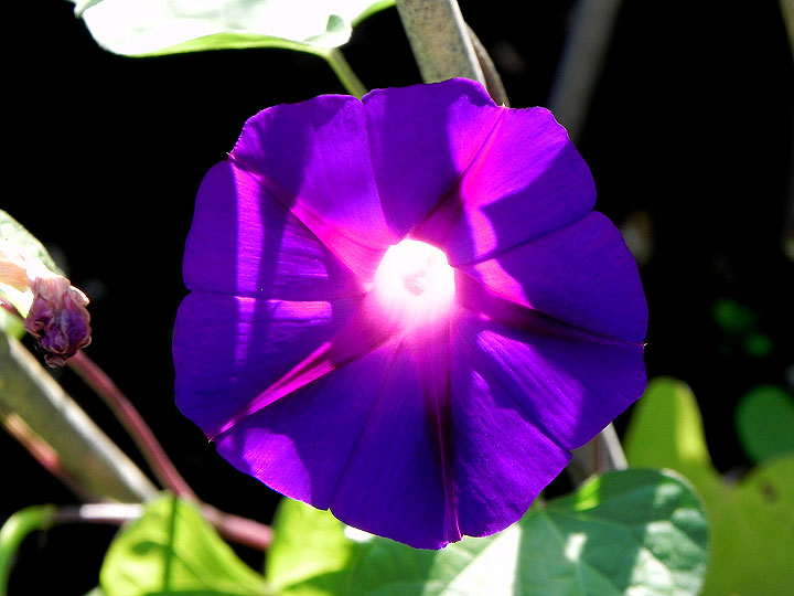 DSCN3959