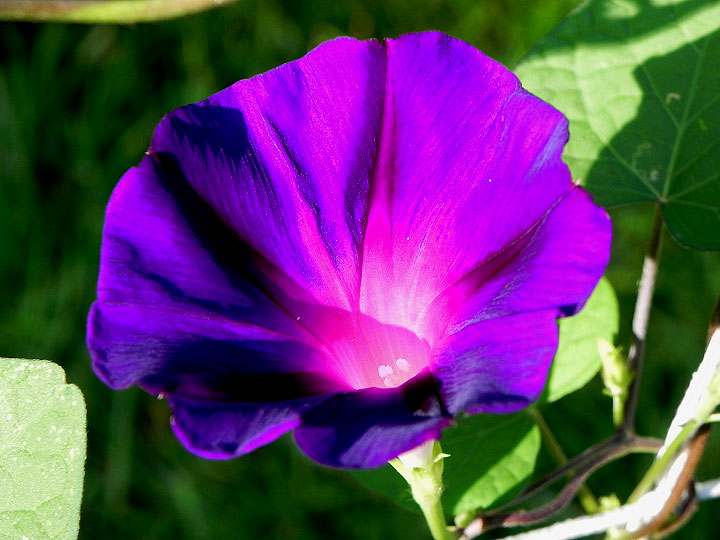DSCN4546_01