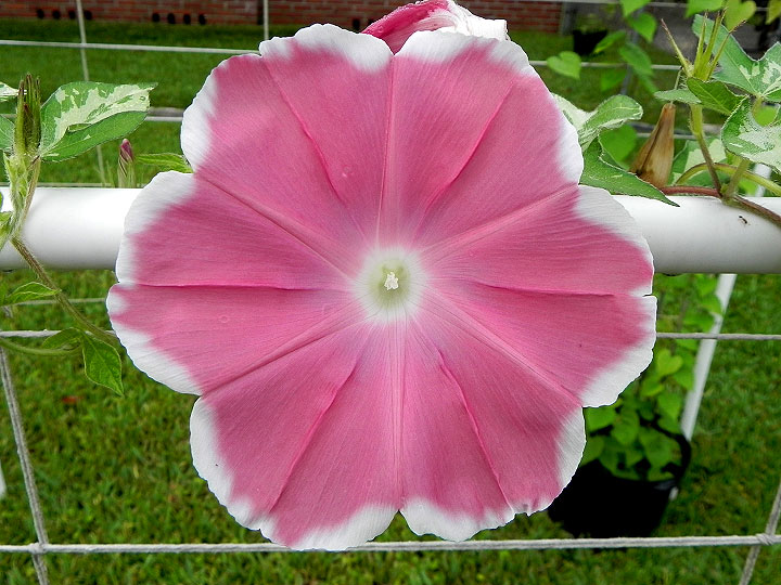 DSCN4819