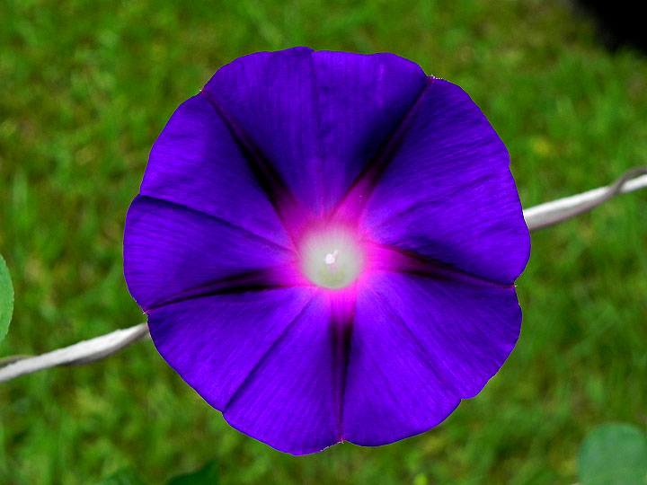 DSCN4840