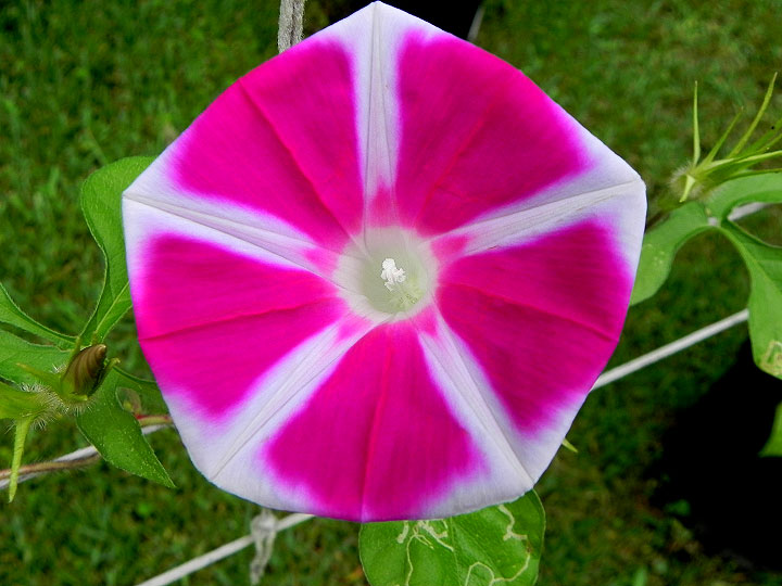 DSCN4843
