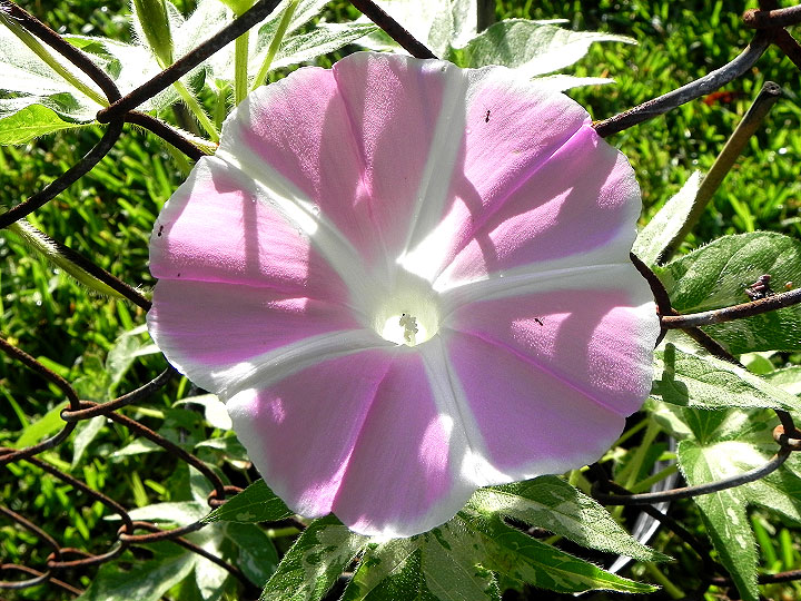 DSCN4885