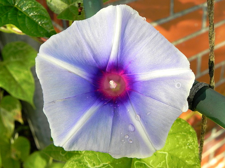 DSCN4904