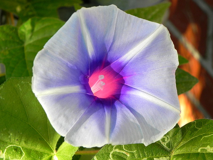 DSCN4942