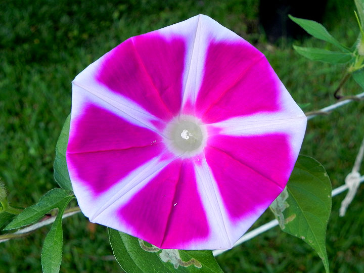 DSCN4956