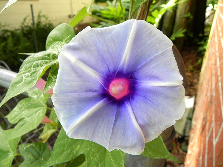 DSCN5033_01