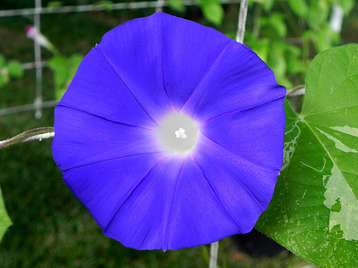 DSCN5053_02